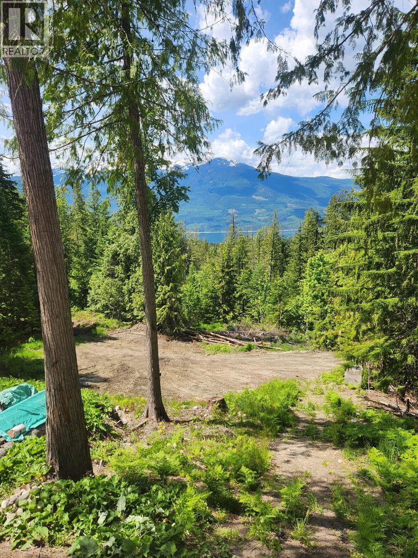 760 Kangaroo Trail, Nakusp, British Columbia  V0G 1R0 - Photo 33 - 10395943