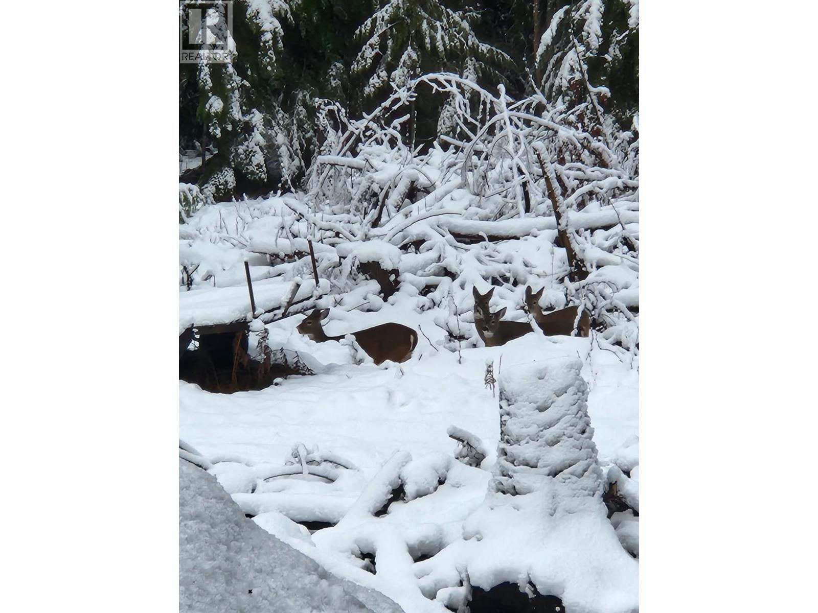 760 Kangaroo Trail, Nakusp, British Columbia  V0G 1R0 - Photo 34 - 10395943