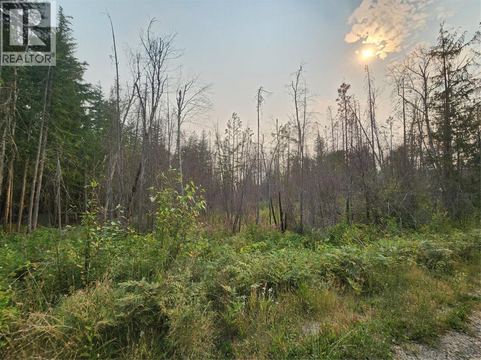 Lot 2 Meadow Creek Road, Celista, British Columbia  V0E 1M6 - Photo 2 - 10395744
