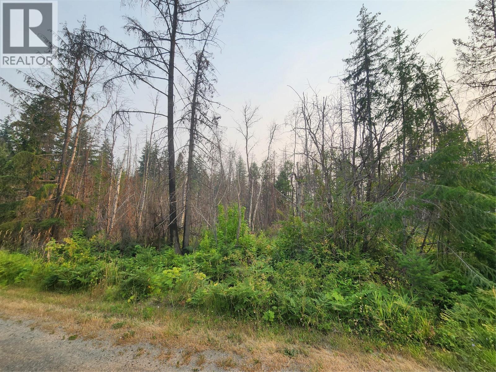 Lot 2 Meadow Creek Road, Celista, British Columbia  V0E 1M6 - Photo 3 - 10395744