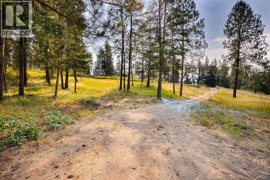 Lot A Wyatt Road, Spallumcheen, British Columbia  V4Y 0M5 - Photo 10 - 10395949