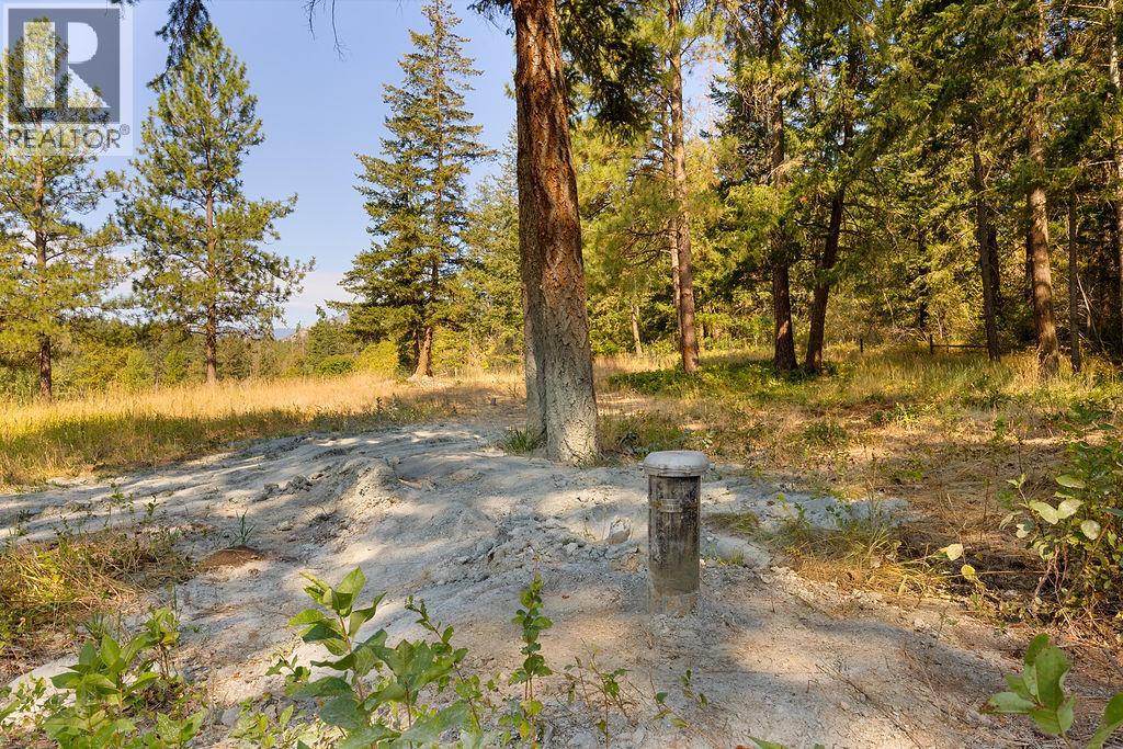 Lot A Wyatt Road, Spallumcheen, British Columbia  V4Y 0M5 - Photo 11 - 10395949