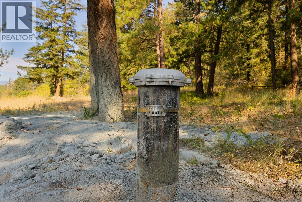 Lot A Wyatt Road, Spallumcheen, British Columbia  V4Y 0M5 - Photo 12 - 10395949