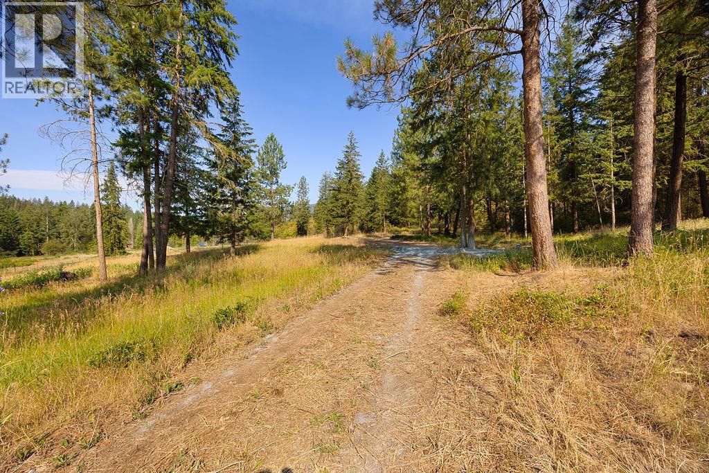 Lot A Wyatt Road, Spallumcheen, British Columbia  V4Y 0M5 - Photo 13 - 10395949
