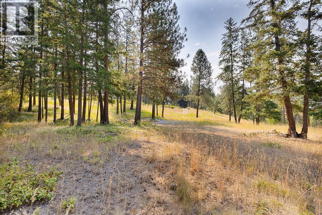 Lot A Wyatt Road, Spallumcheen, British Columbia  V4Y 0M5 - Photo 22 - 10395949