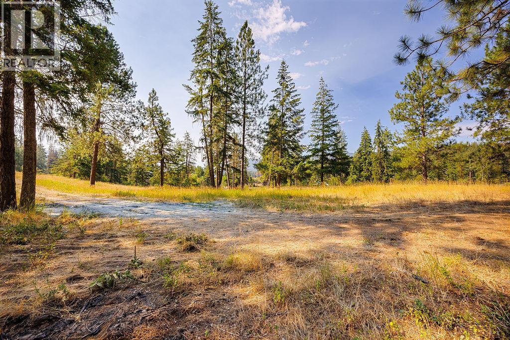 Lot A Wyatt Road, Spallumcheen, British Columbia  V4Y 0M5 - Photo 23 - 10395949