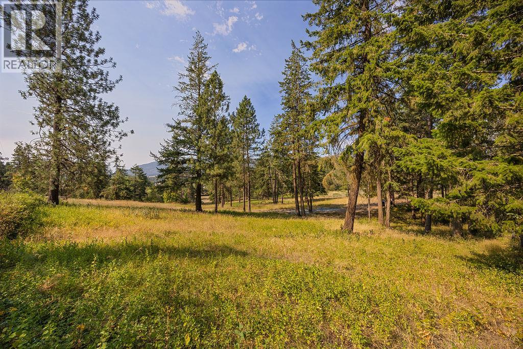 Lot A Wyatt Road, Spallumcheen, British Columbia  V4Y 0M5 - Photo 7 - 10395949