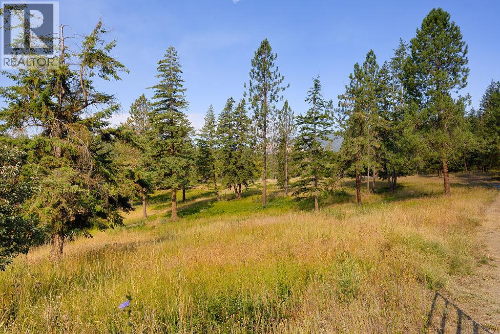 Lot A Wyatt Road, Spallumcheen, British Columbia  V4Y 0M5 - Photo 8 - 10395949