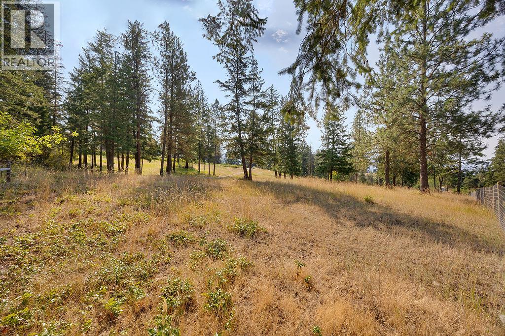Lot A Wyatt Road, Spallumcheen, British Columbia  V4Y 0M5 - Photo 9 - 10395949