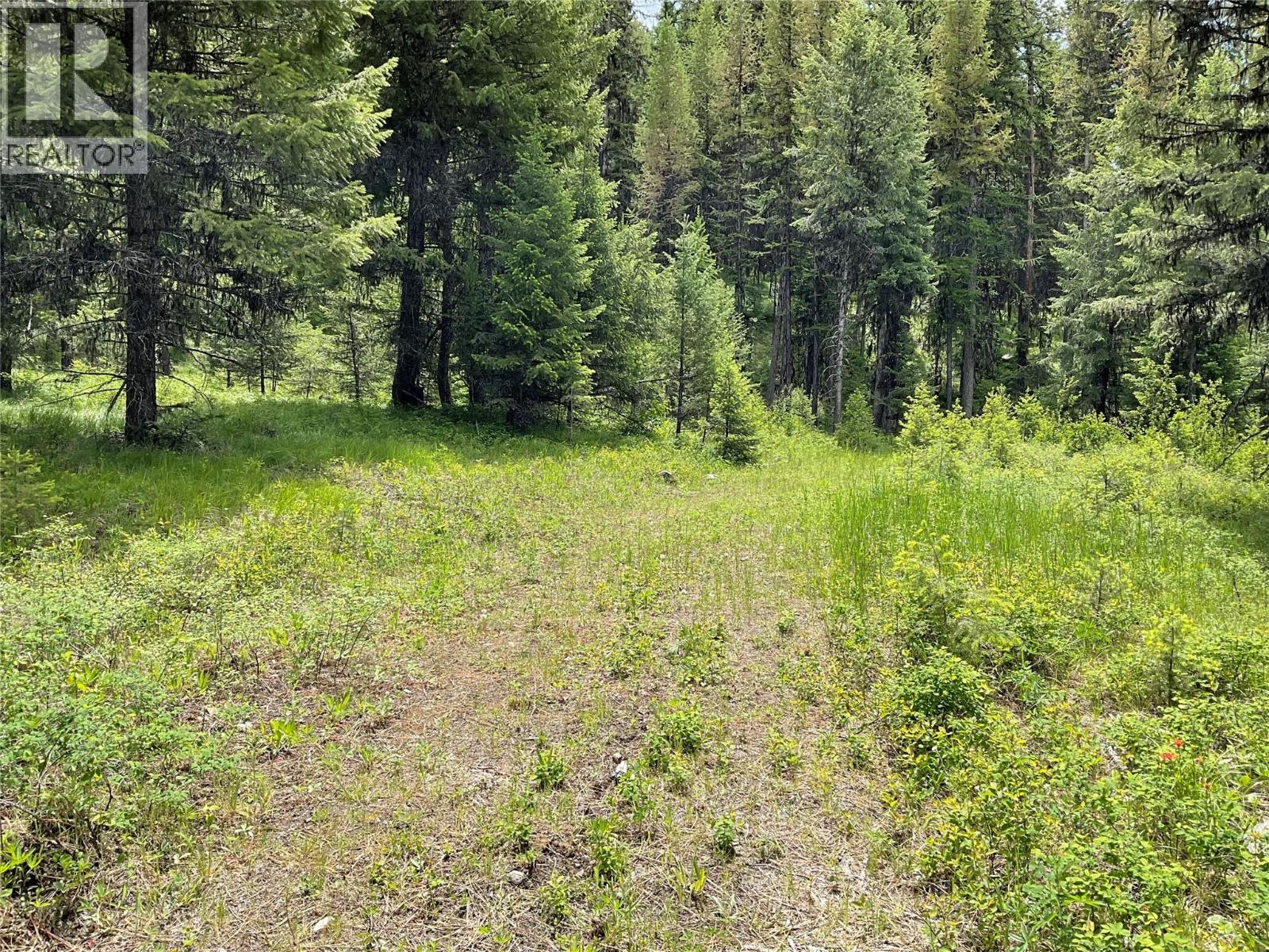 Lot 1 Nicholson Creek Road, Rock Creek, British Columbia  V0H 1Y0 - Photo 12 - 10396065