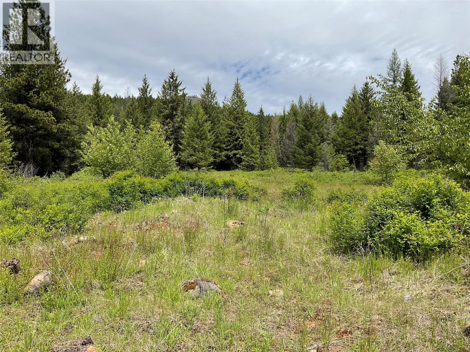 Lot 1 Nicholson Creek Road, Rock Creek, British Columbia  V0H 1Y0 - Photo 15 - 10396065