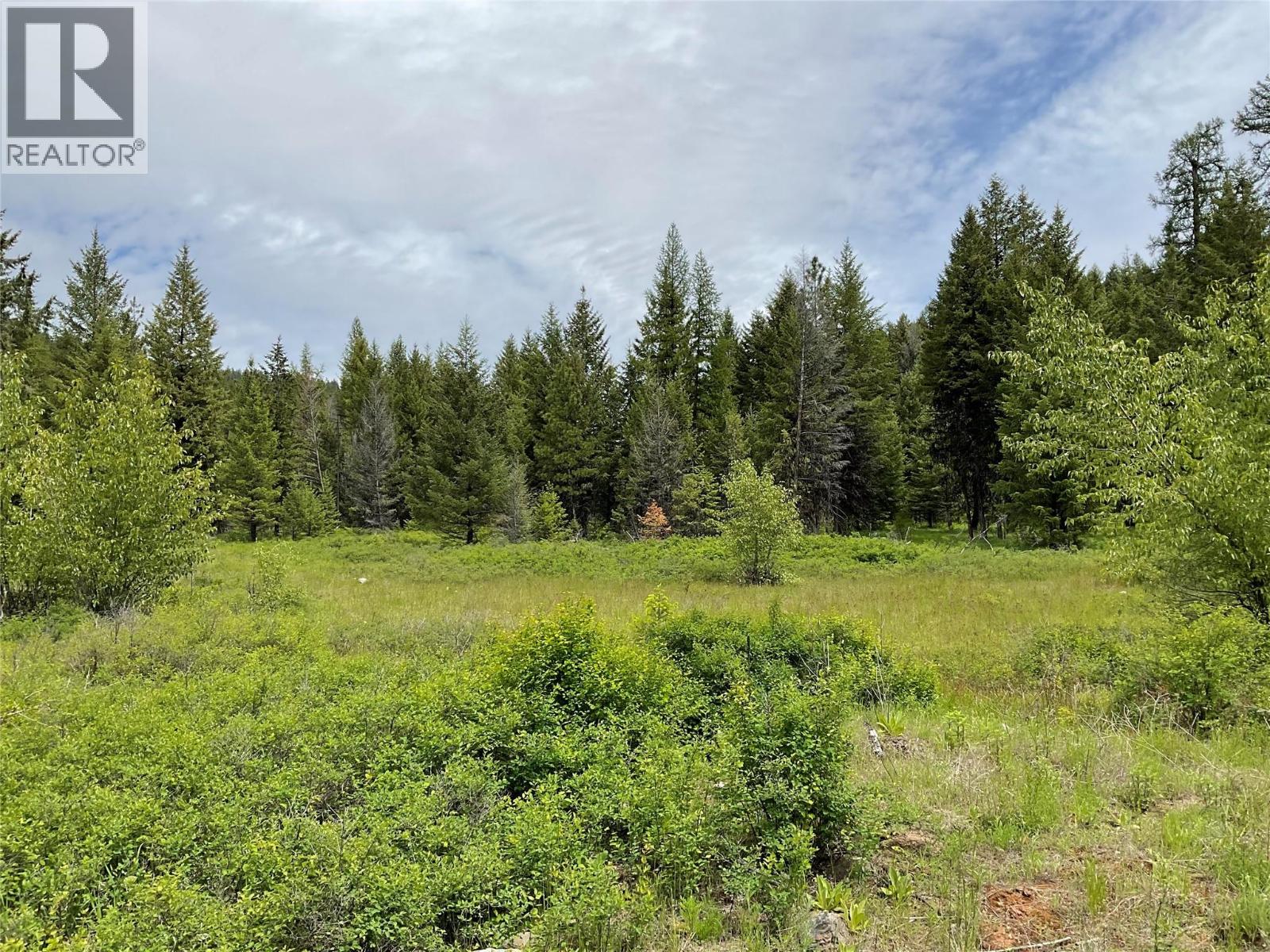 Lot 1 Nicholson Creek Road, Rock Creek, British Columbia  V0H 1Y0 - Photo 16 - 10396065