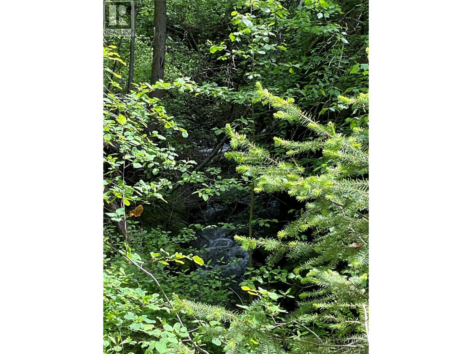 Lot 1 Nicholson Creek Road, Rock Creek, British Columbia  V0H 1Y0 - Photo 2 - 10396065