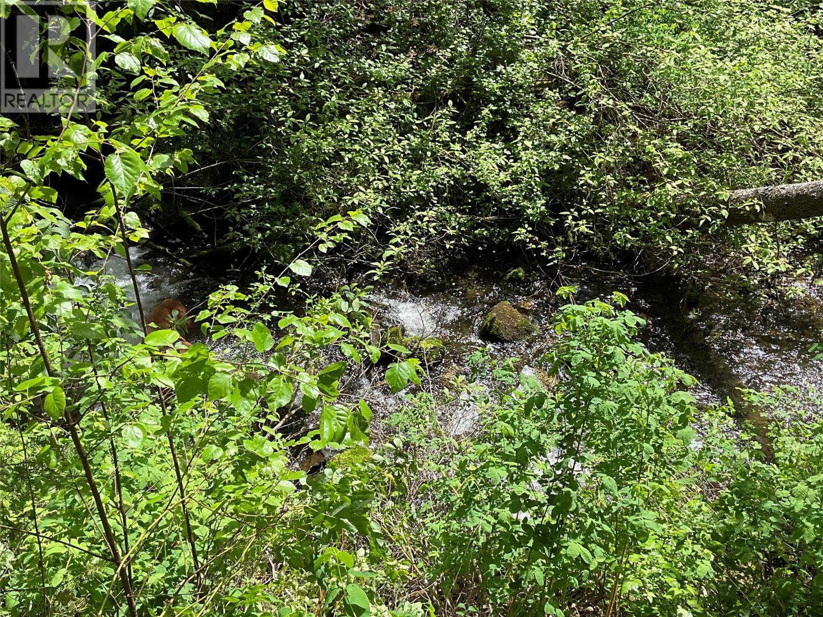 Lot 1 Nicholson Creek Road, Rock Creek, British Columbia  V0H 1Y0 - Photo 3 - 10396065