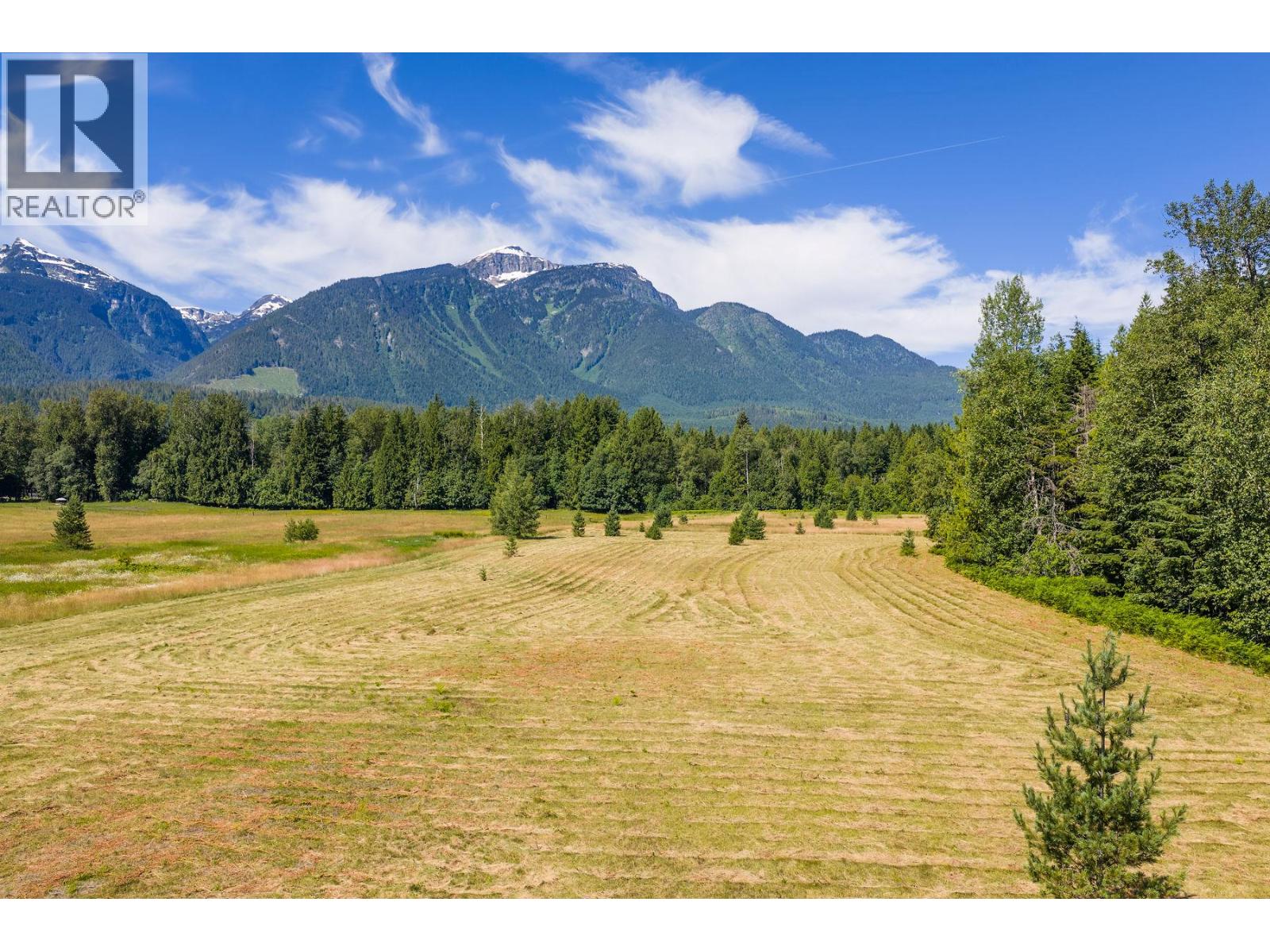 3309 Catherwood Road, Revelstoke, British Columbia  V0E 2S1 - Photo 45 - 10394067