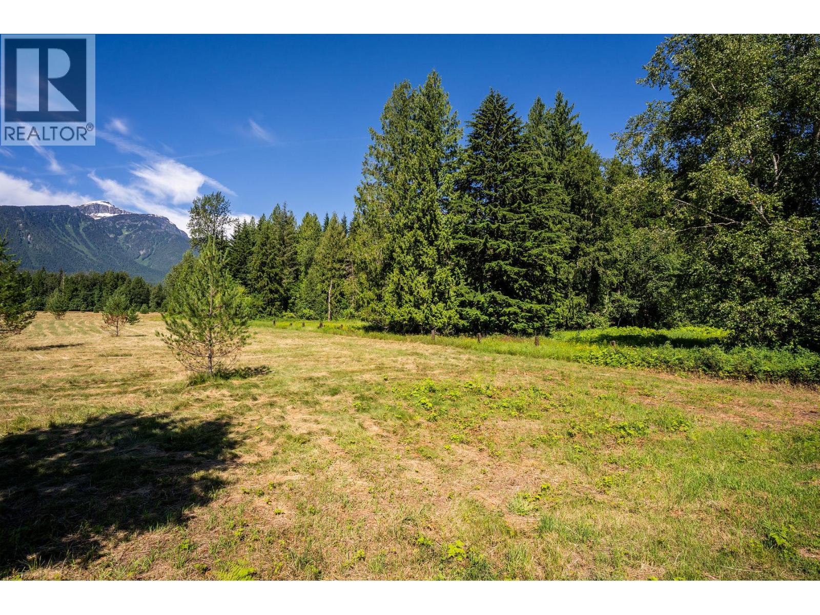 3309 Catherwood Road, Revelstoke, British Columbia  V0E 2S1 - Photo 8 - 10394067