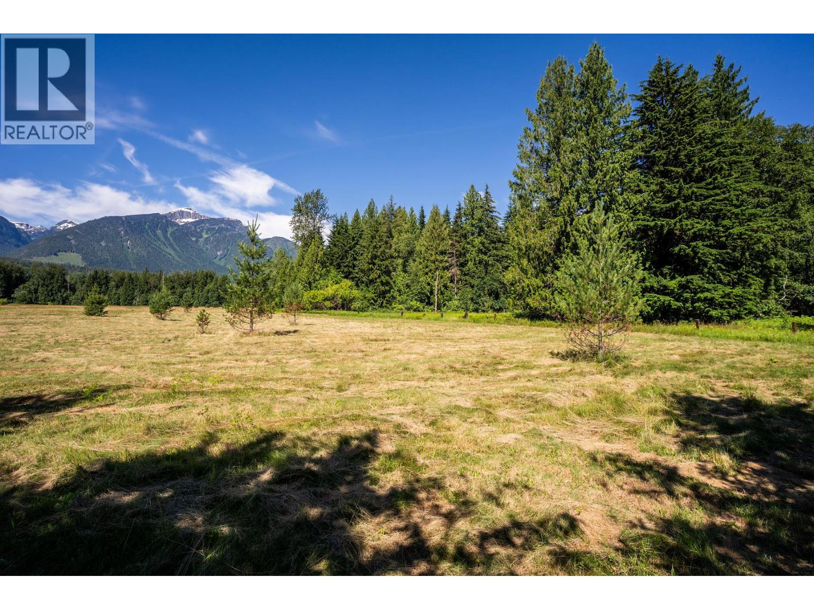 3309 Catherwood Road, Revelstoke, British Columbia  V0E 2S1 - Photo 9 - 10394067