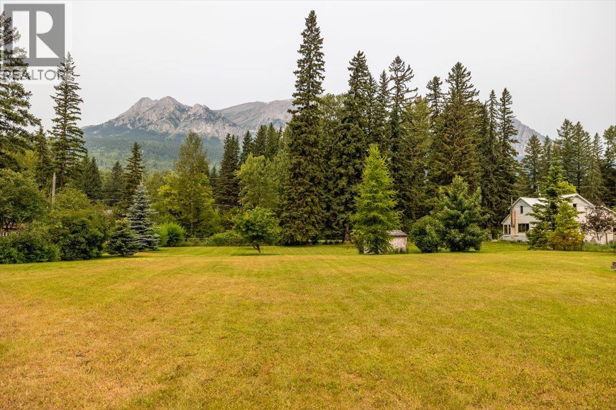 9832 Victoria Street, Fernie, British Columbia  V0B 1M5 - Photo 74 - 10396209