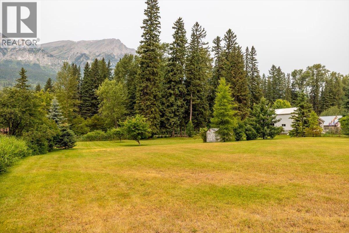 9832 Victoria Street, Fernie, British Columbia  V0B 1M5 - Photo 78 - 10396209
