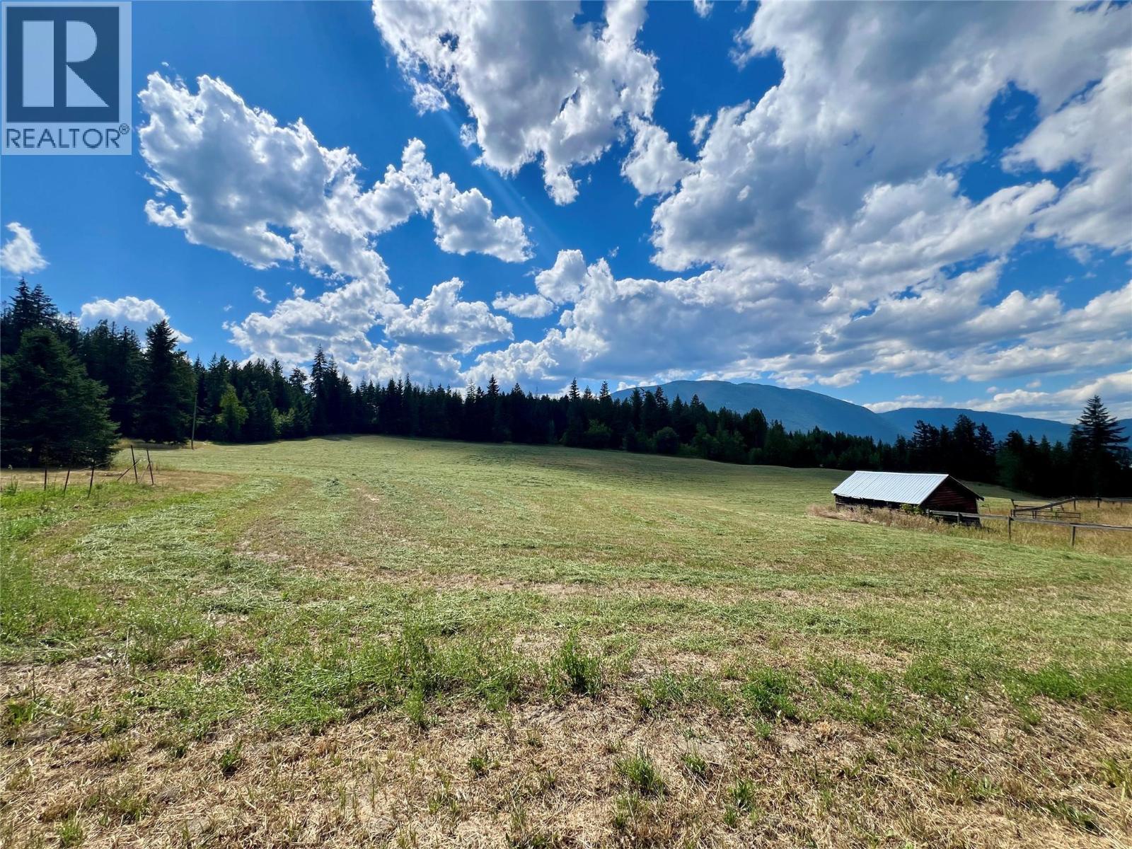 6350 Lakeshore Drive Ne, Salmon Arm, British Columbia  V1E 4N1 - Photo 55 - 10396361