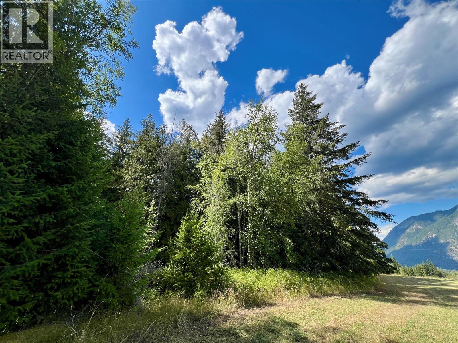 6350 Lakeshore Drive Ne, Salmon Arm, British Columbia  V1E 4N1 - Photo 68 - 10396361