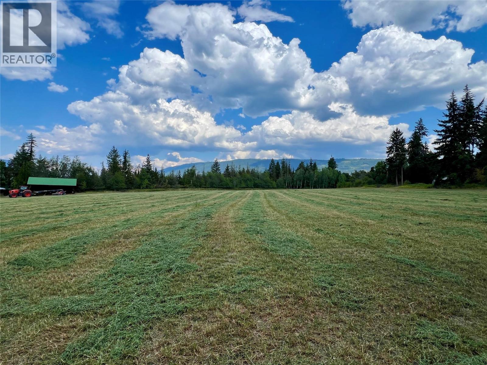 6350 Lakeshore Drive Ne, Salmon Arm, British Columbia  V1E 4N1 - Photo 8 - 10396361