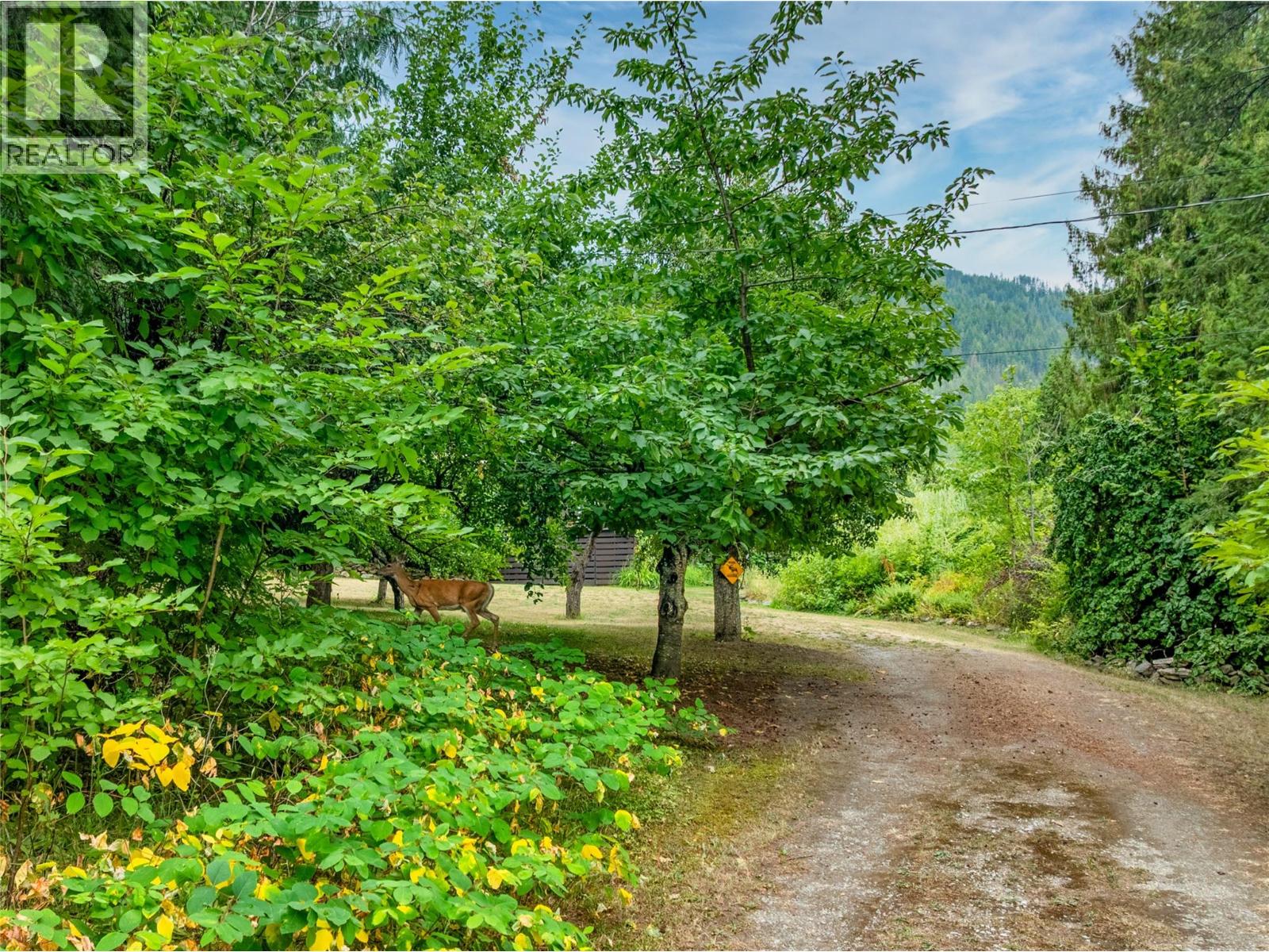 4061 Torry Road, Eagle Bay, British Columbia  V0E 1T0 - Photo 42 - 10395617