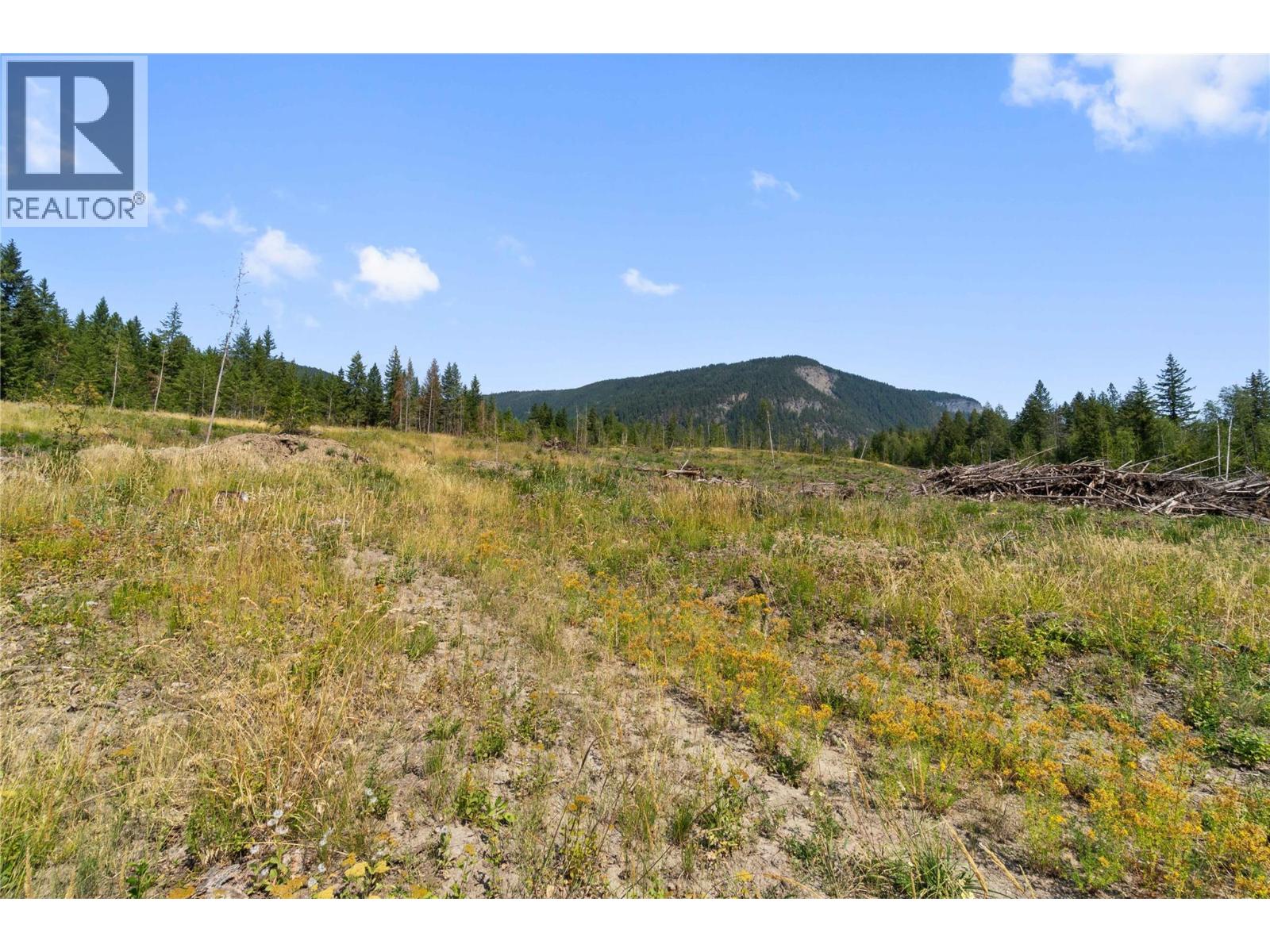 3311 Colton Road, Tappen, British Columbia  V0E 2X1 - Photo 11 - 10395998