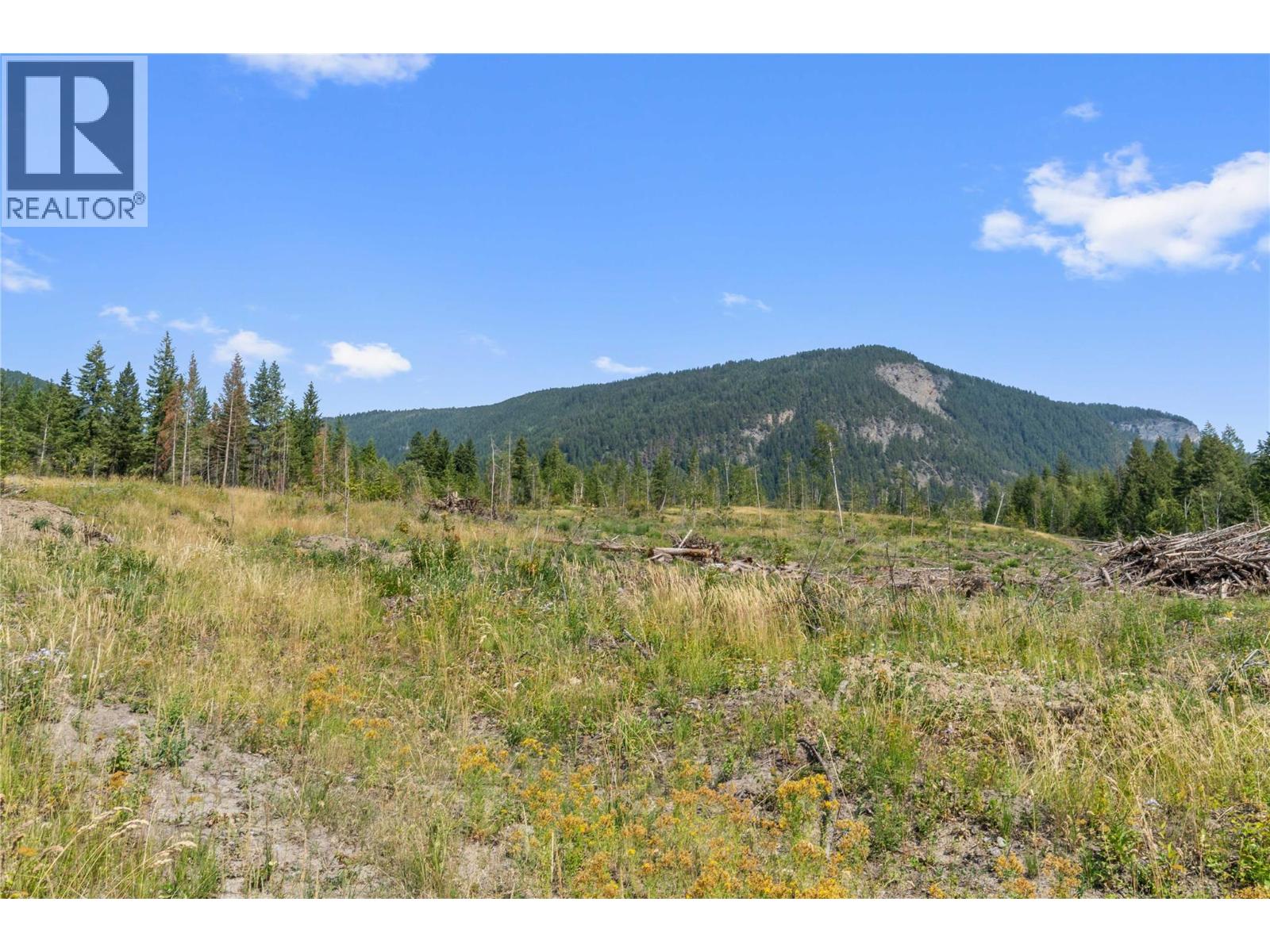3311 Colton Road, Tappen, British Columbia  V0E 2X1 - Photo 12 - 10395998
