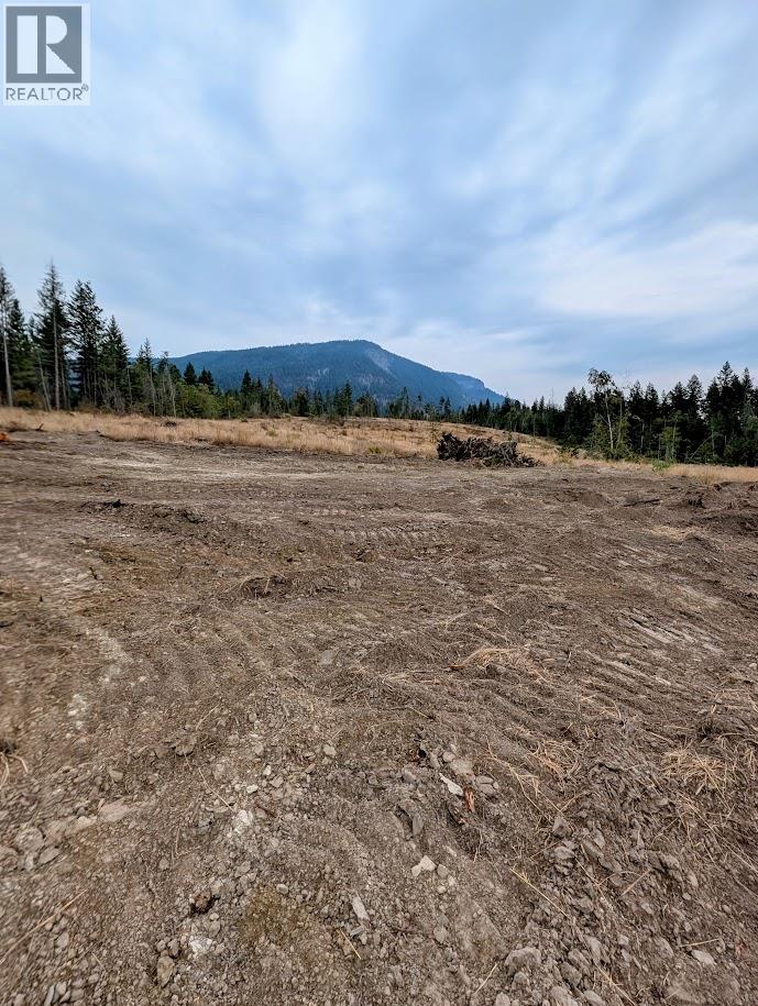 3311 Colton Road, Tappen, British Columbia  V0E 2X1 - Photo 13 - 10395998