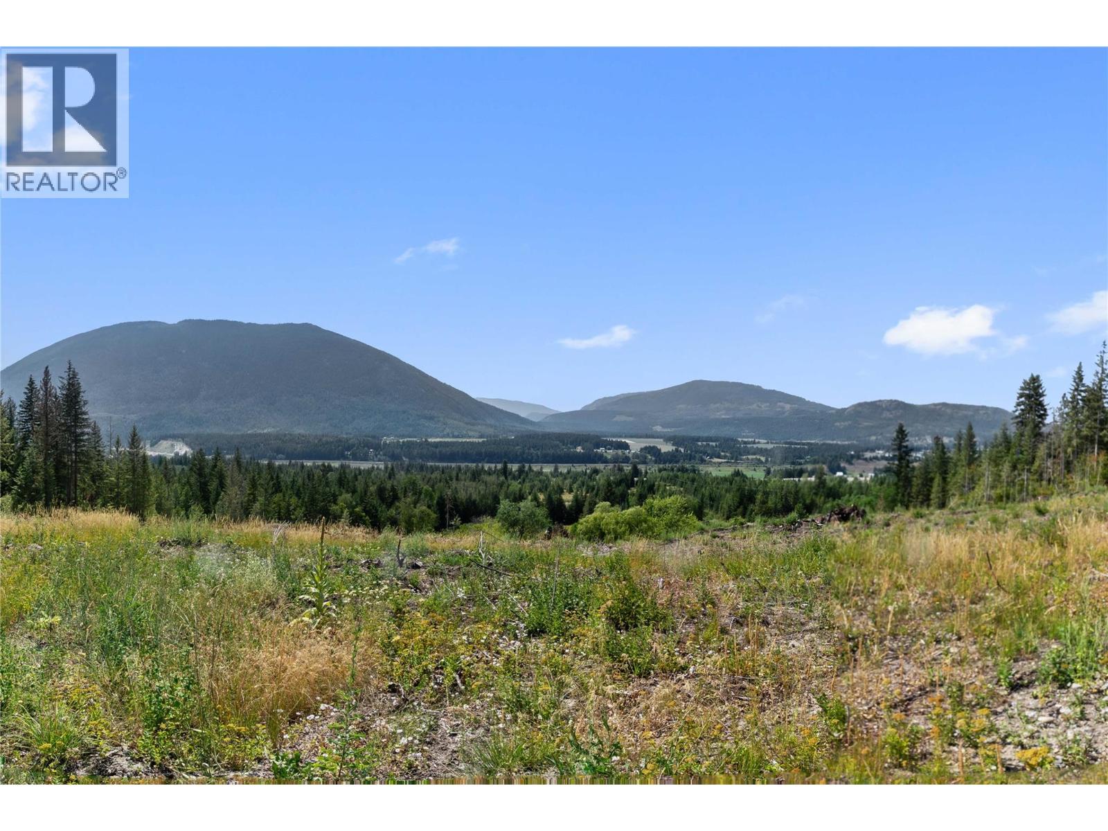 3311 Colton Road, Tappen, British Columbia  V0E 2X1 - Photo 2 - 10395998