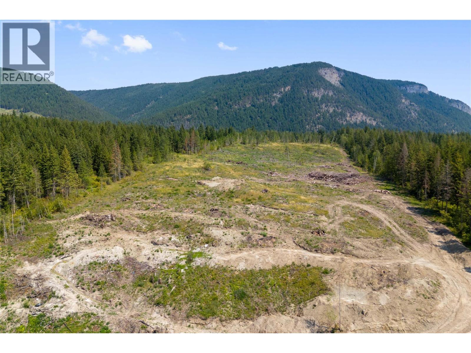 3311 Colton Road, Tappen, British Columbia  V0E 2X1 - Photo 4 - 10395998