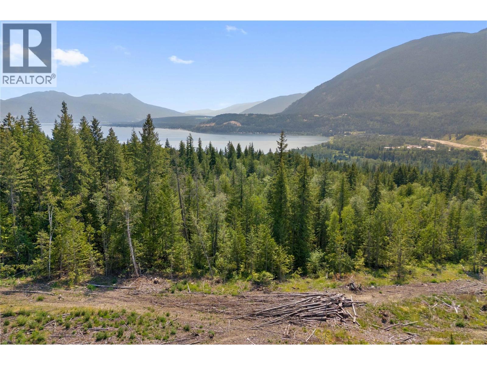 3311 Colton Road, Tappen, British Columbia  V0E 2X1 - Photo 6 - 10395998