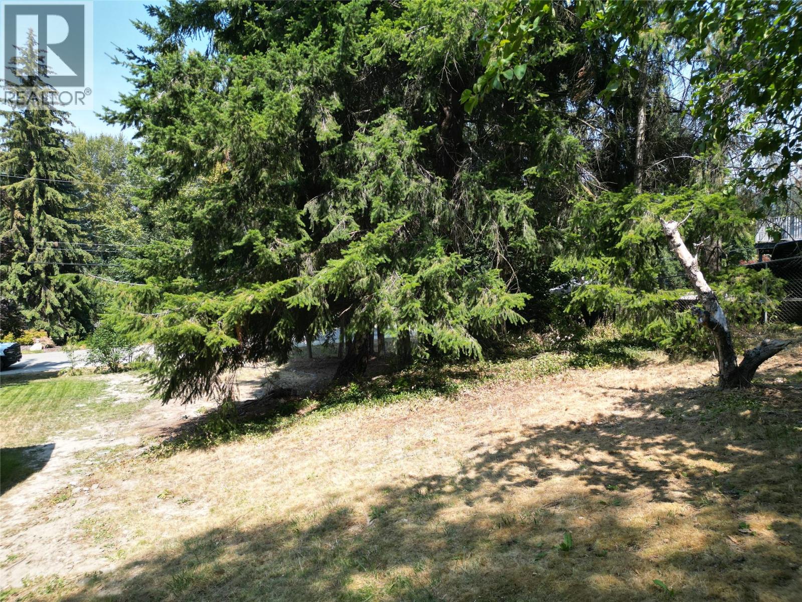 2110 1 Avenue Ne, Salmon Arm, British Columbia  V1E 1Z4 - Photo 17 - 10396430