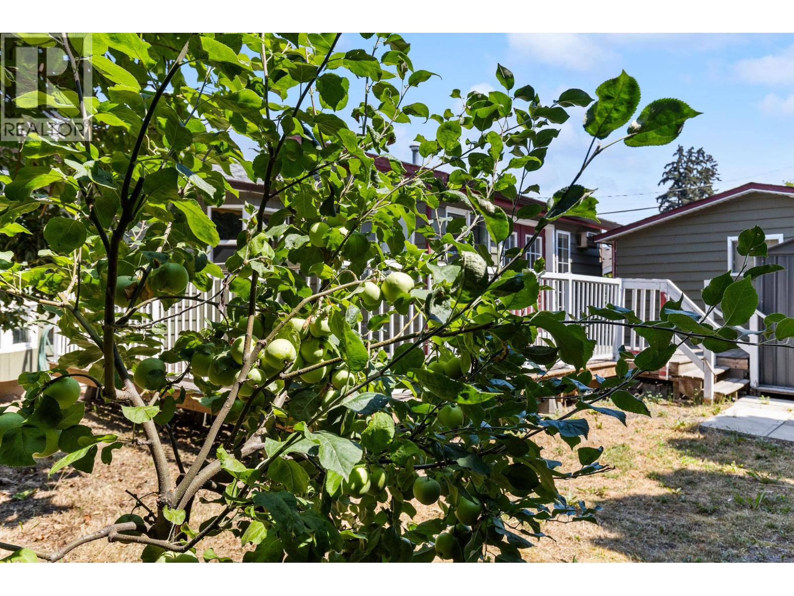 925 Sutherland Avenue, Kelowna, British Columbia  V1Y 5X6 - Photo 38 - 10396359