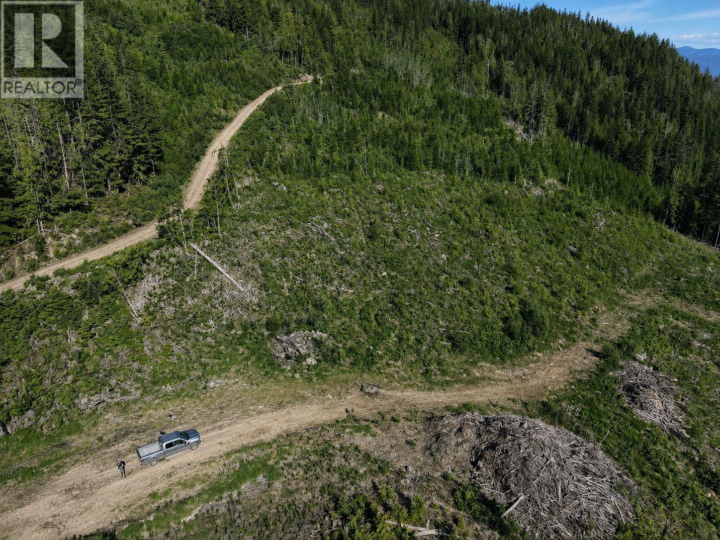 Lot 2 Highway 6, Nelson, British Columbia  V1L 5J5 - Photo 4 - 10396555