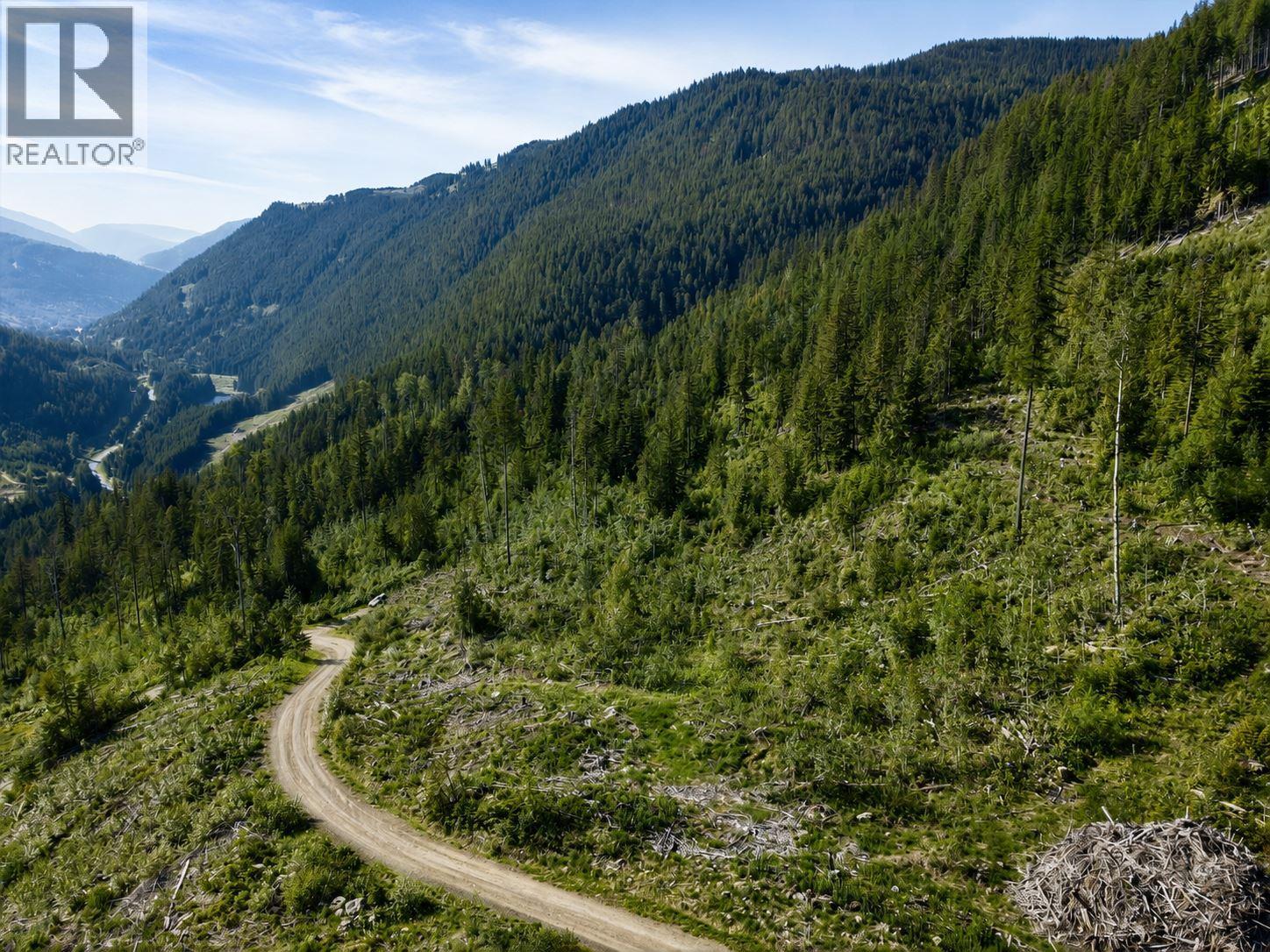 Lot 2 Highway 6, Nelson, British Columbia  V1L 5J5 - Photo 8 - 10396555