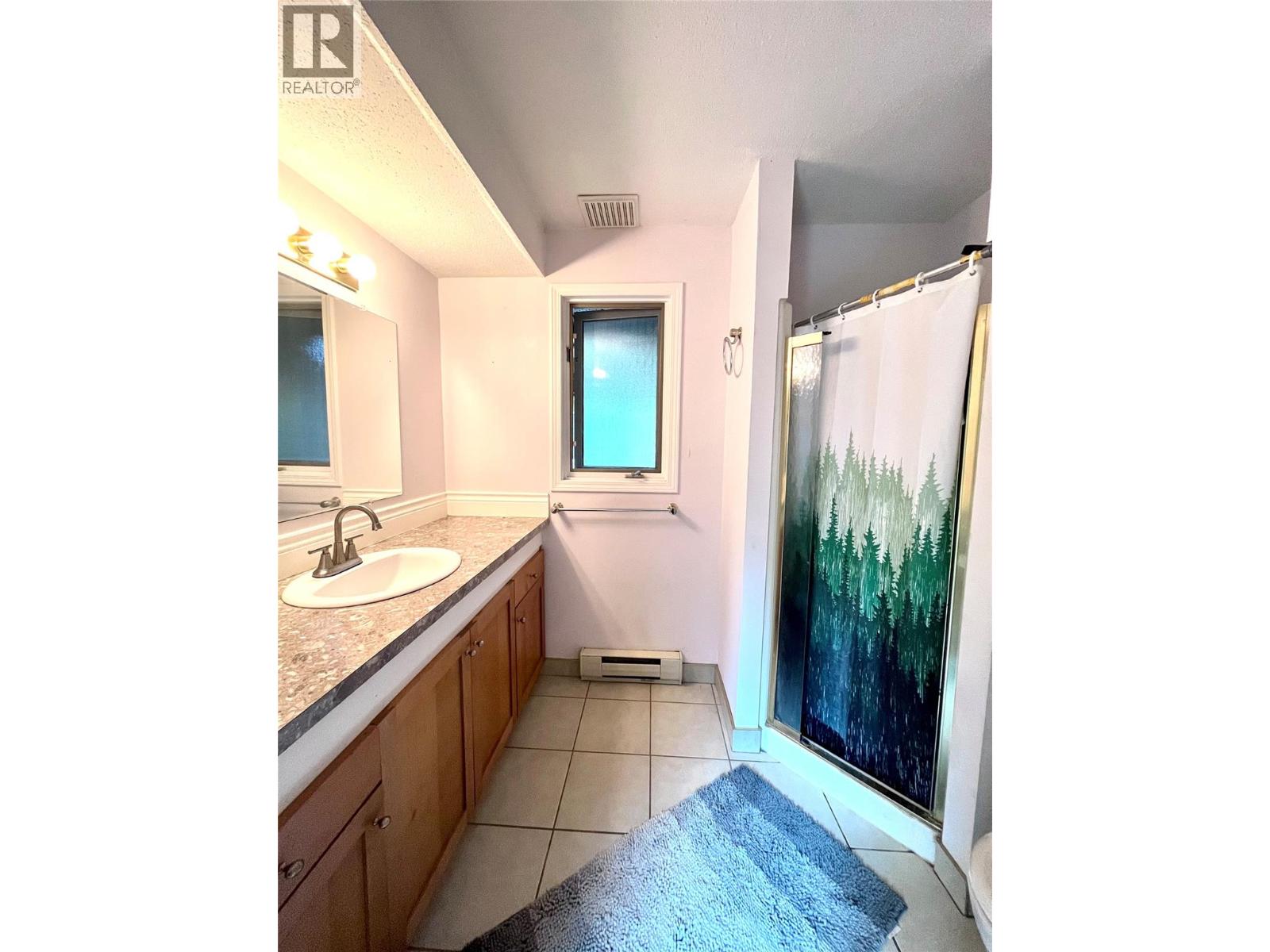 225 6th Street, Nakusp, British Columbia  V0G 1R0 - Photo 18 - 10396538