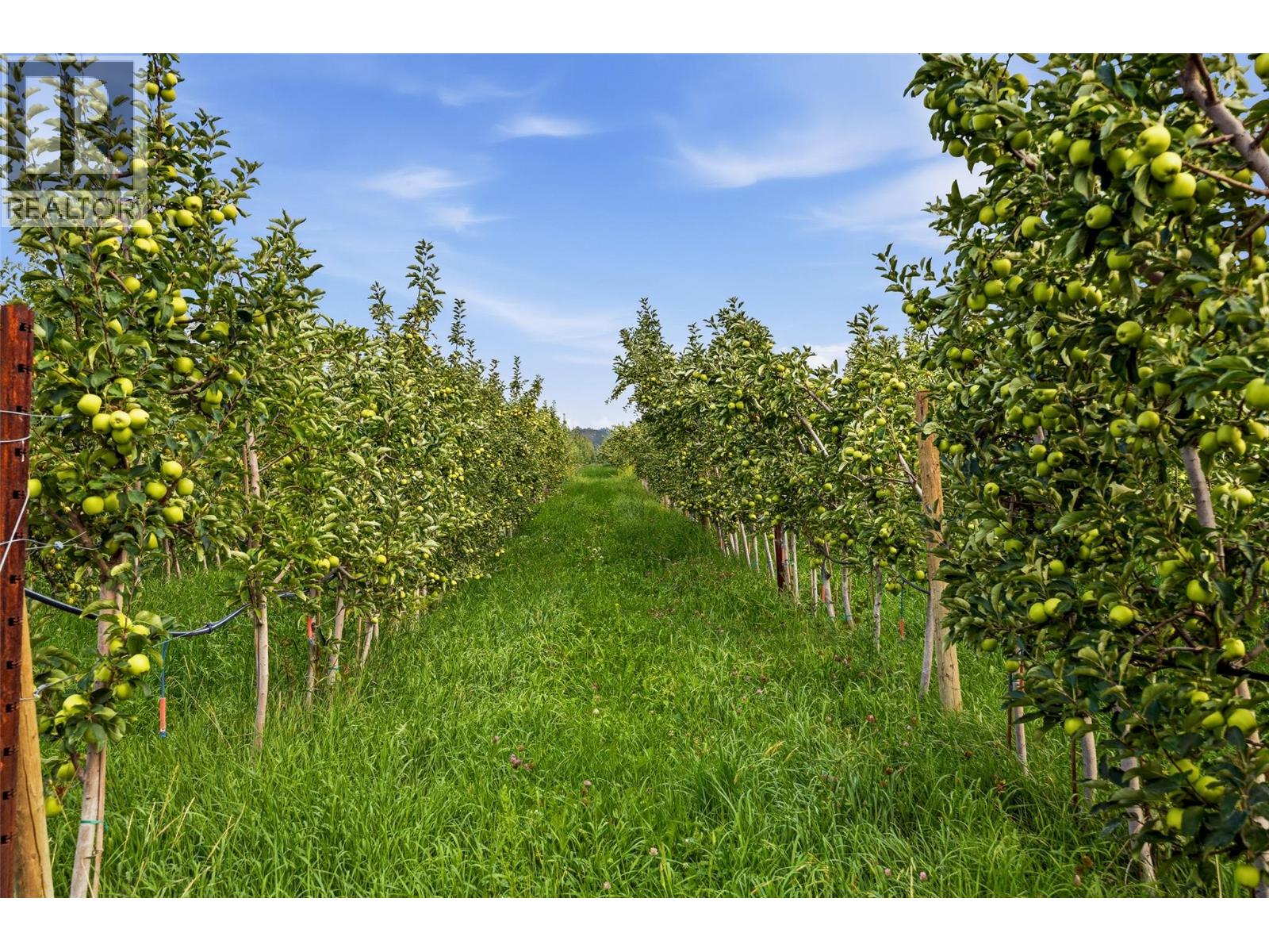 2249 Agar Road, Cawston, British Columbia  V0X 1C2 - Photo 75 - 10396563