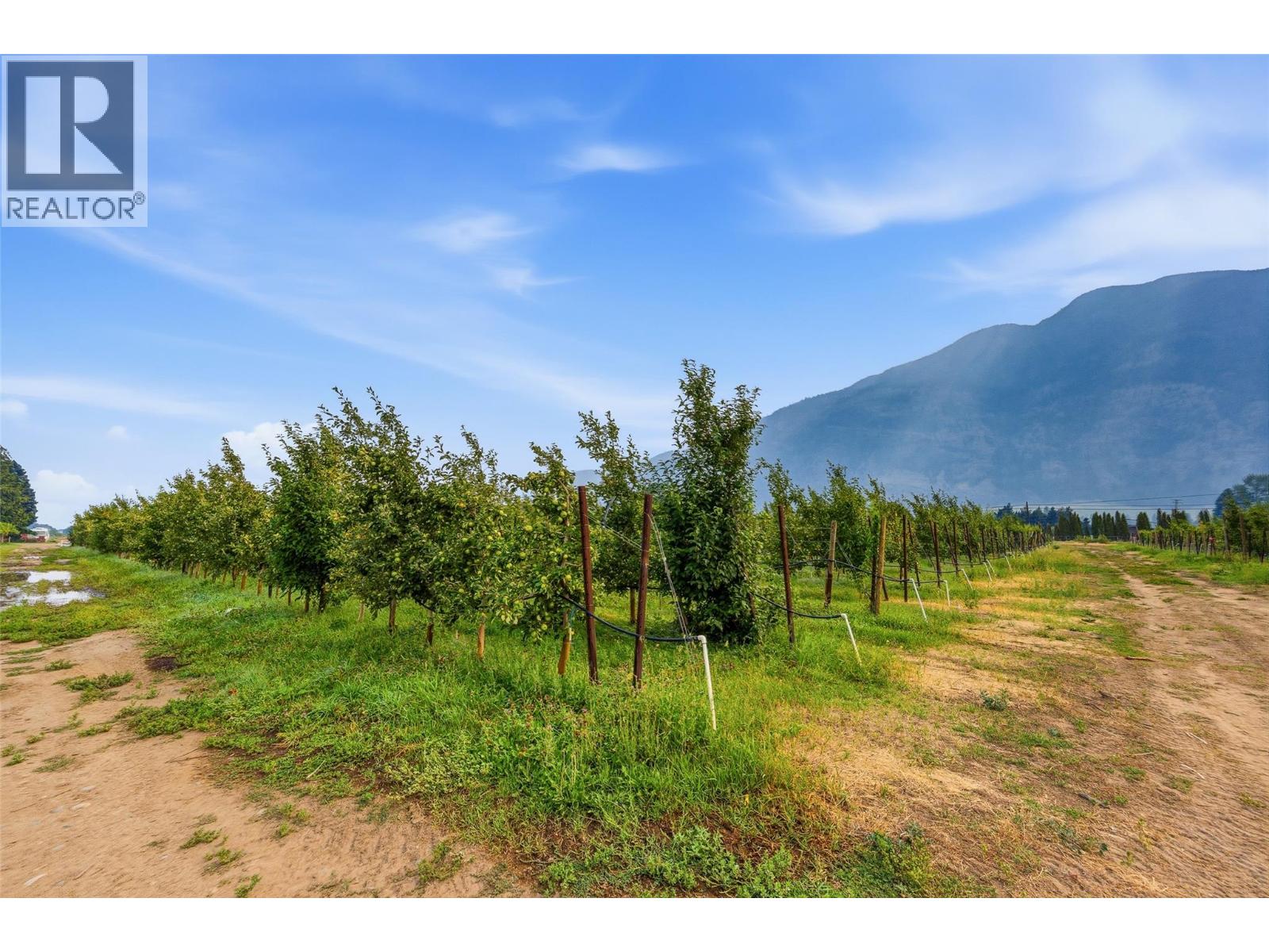 2249 Agar Road, Cawston, British Columbia  V0X 1C2 - Photo 79 - 10396563