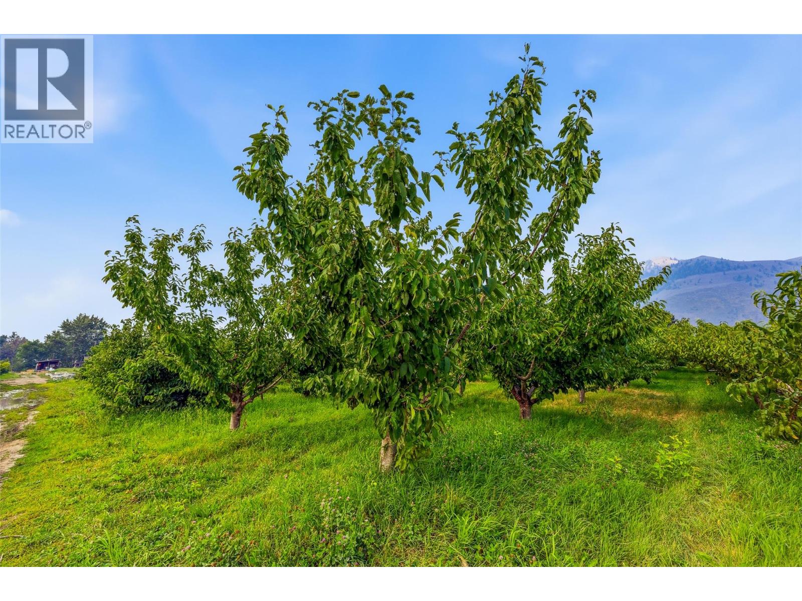 2249 Agar Road, Cawston, British Columbia  V0X 1C2 - Photo 81 - 10396563