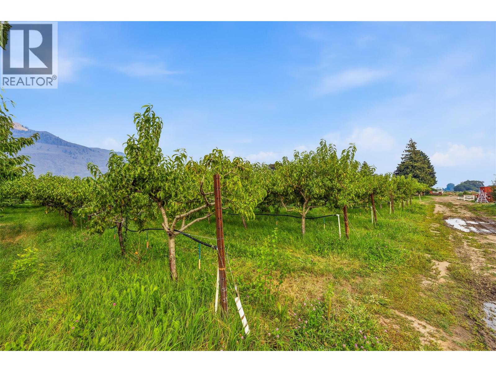 2249 Agar Road, Cawston, British Columbia  V0X 1C2 - Photo 82 - 10396563