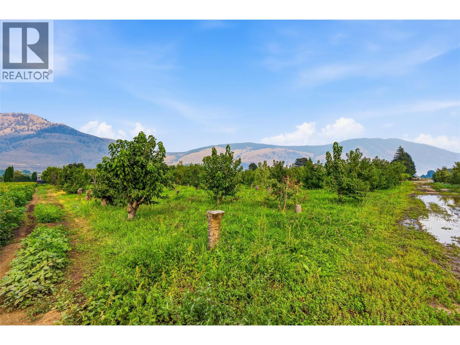 2249 Agar Road, Cawston, British Columbia  V0X 1C2 - Photo 80 - 10396499