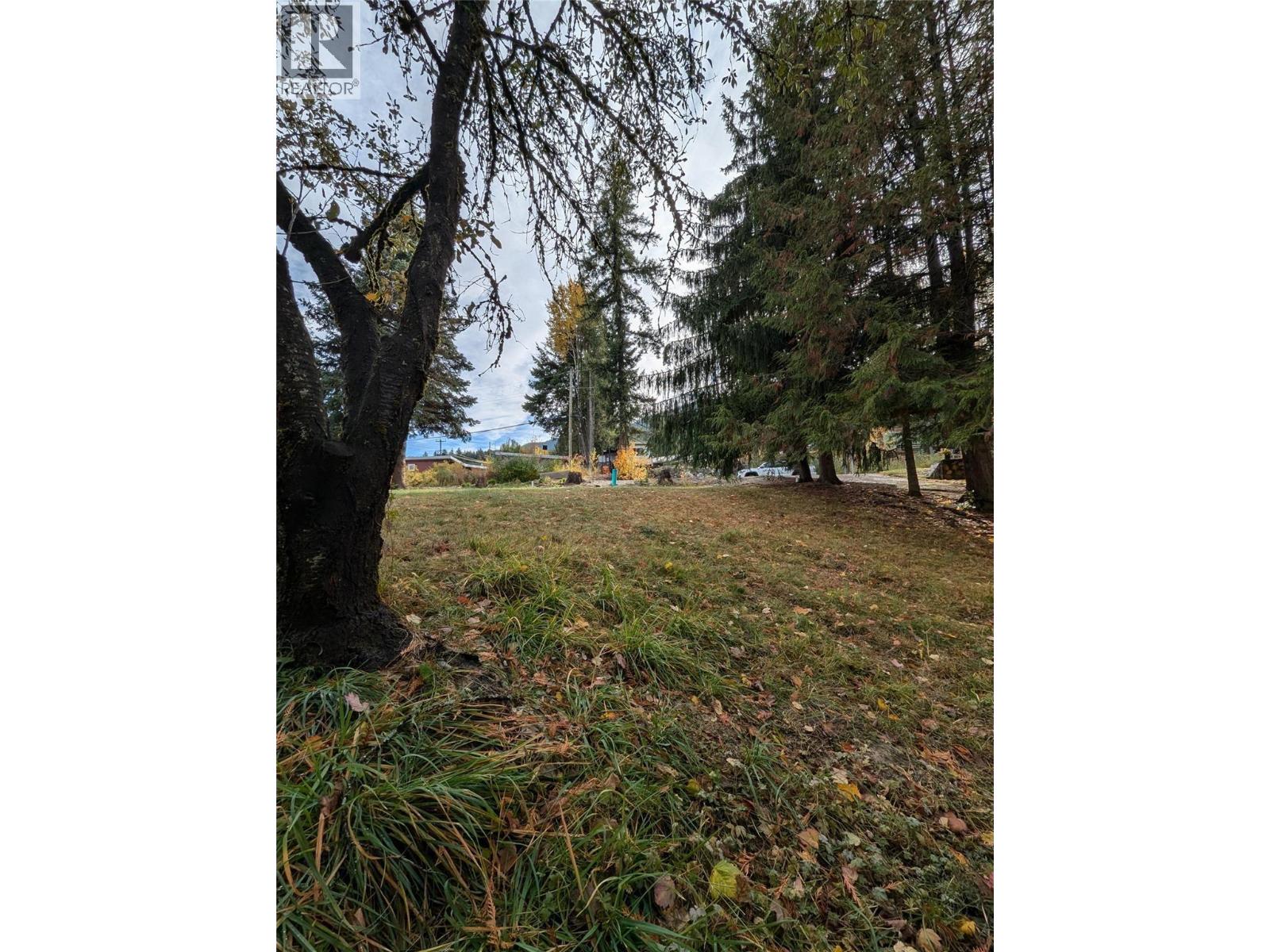 802 Gore Street W, Nelson, British Columbia  V1L 1A1 - Photo 10 - 10396439