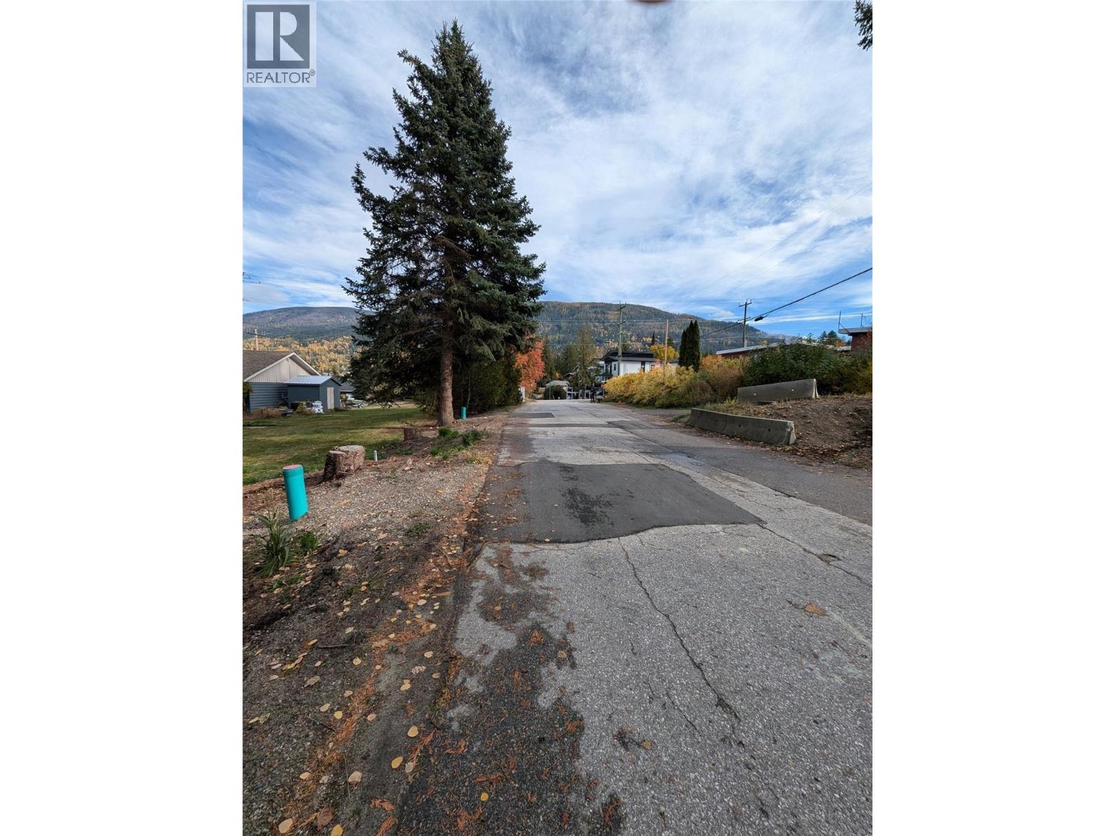 802 Gore Street W, Nelson, British Columbia  V1L 1A1 - Photo 11 - 10396439