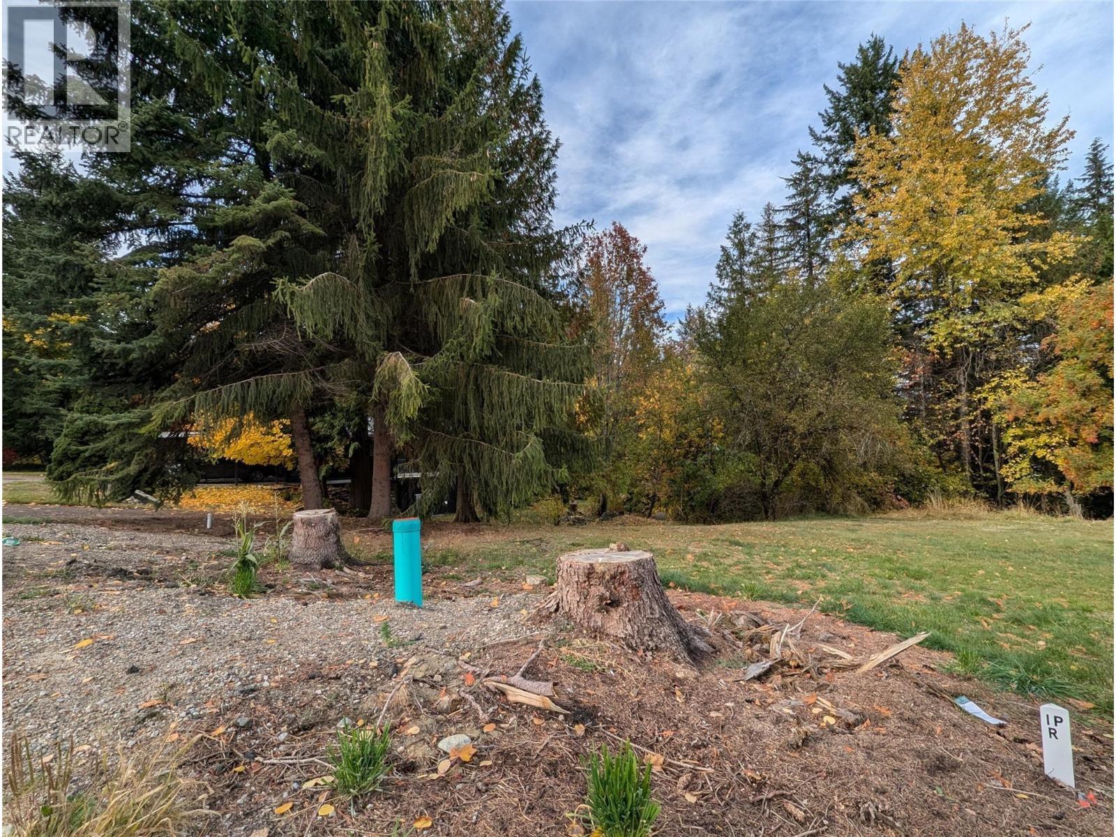 802 Gore Street W, Nelson, British Columbia  V1L 1A1 - Photo 5 - 10396439