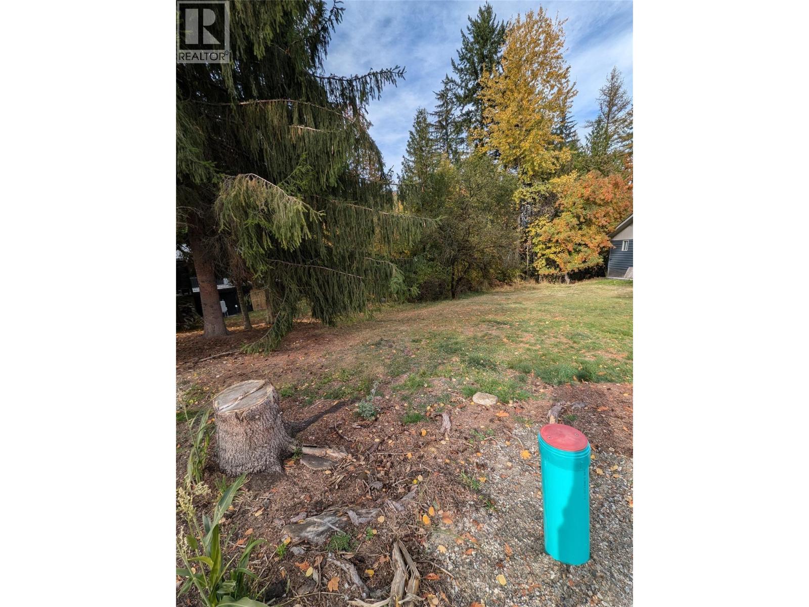 802 Gore Street W, Nelson, British Columbia  V1L 1A1 - Photo 6 - 10396439