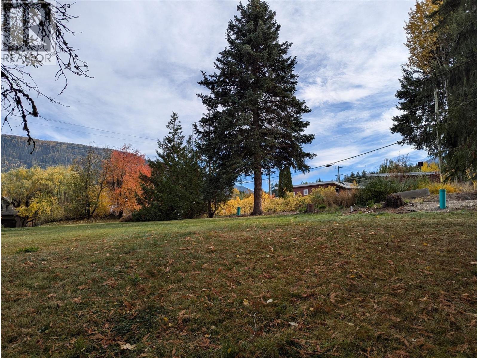 802 Gore Street W, Nelson, British Columbia  V1L 1A1 - Photo 7 - 10396439