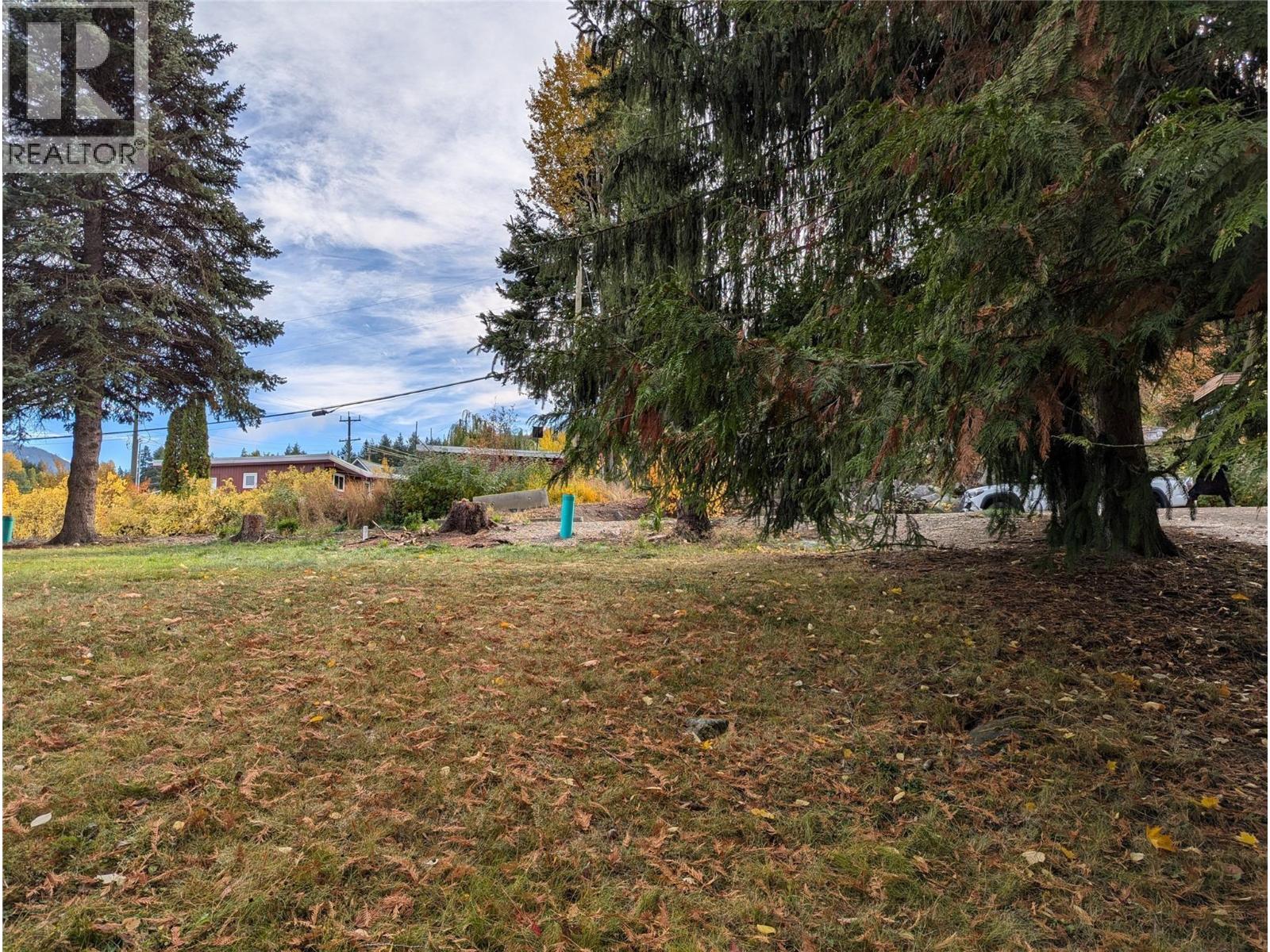 802 Gore Street W, Nelson, British Columbia  V1L 1A1 - Photo 8 - 10396439