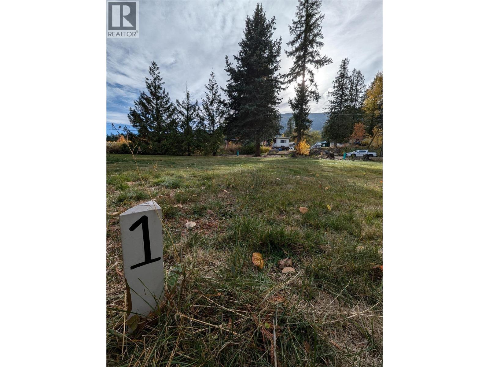 802 Gore Street W, Nelson, British Columbia  V1L 1A1 - Photo 9 - 10396439